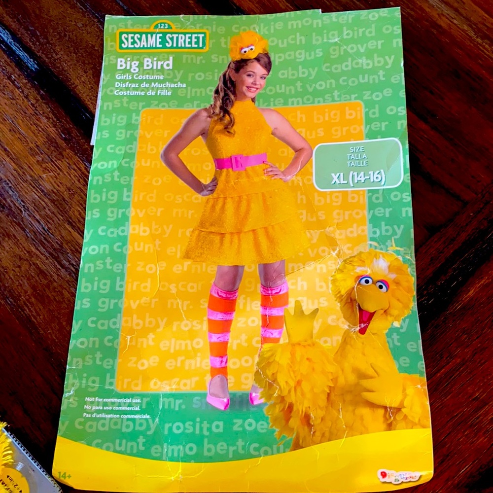 Sesame Street Big Bird costume size 14-16